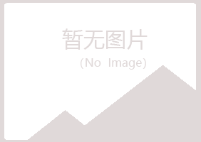 阳江晓夏冶炼有限公司